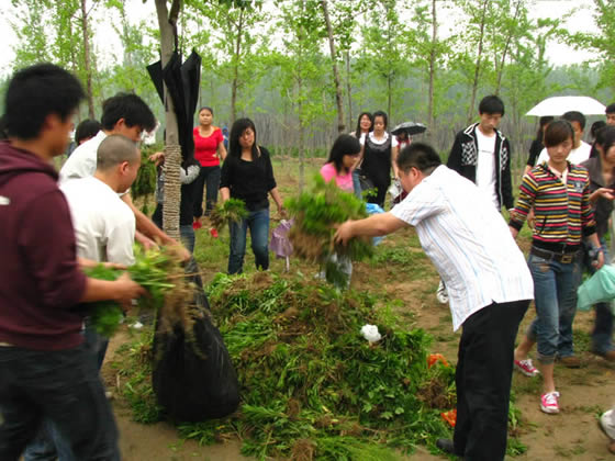 增强党组织的凝聚力 服务和谐校园